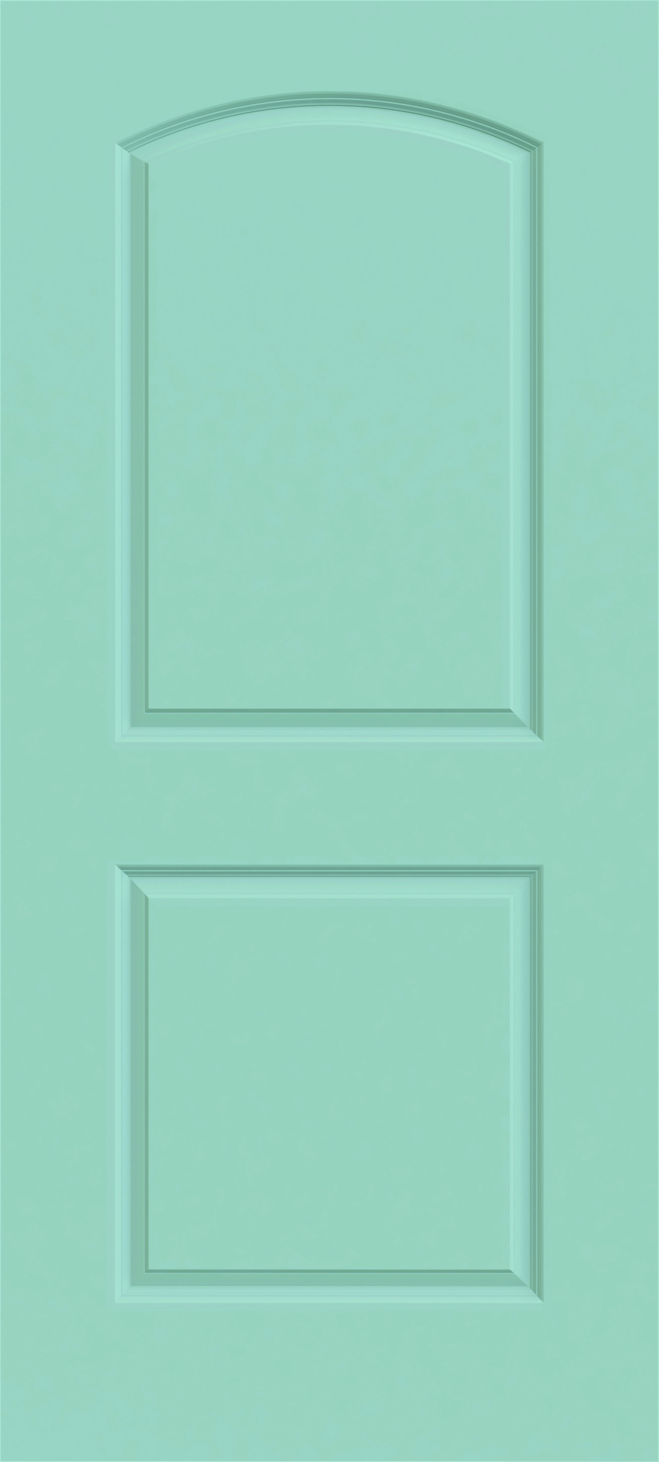 JELDWEN Modern Caiman Raised 2Panel Arch Top in Serenity